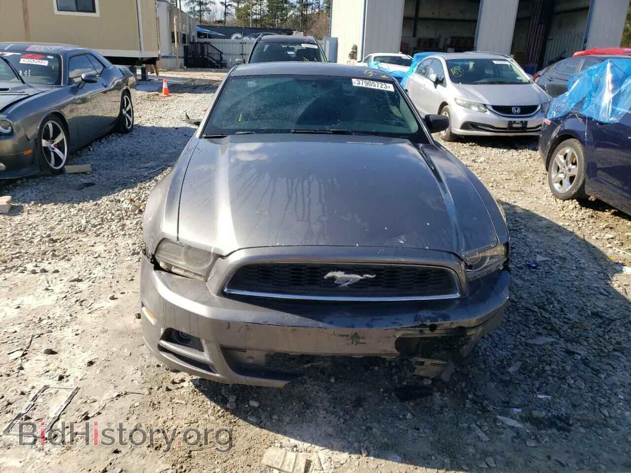 2013 FORD MUSTANG - VIN: 1ZVBP8AM4D5261089 - Фото 5