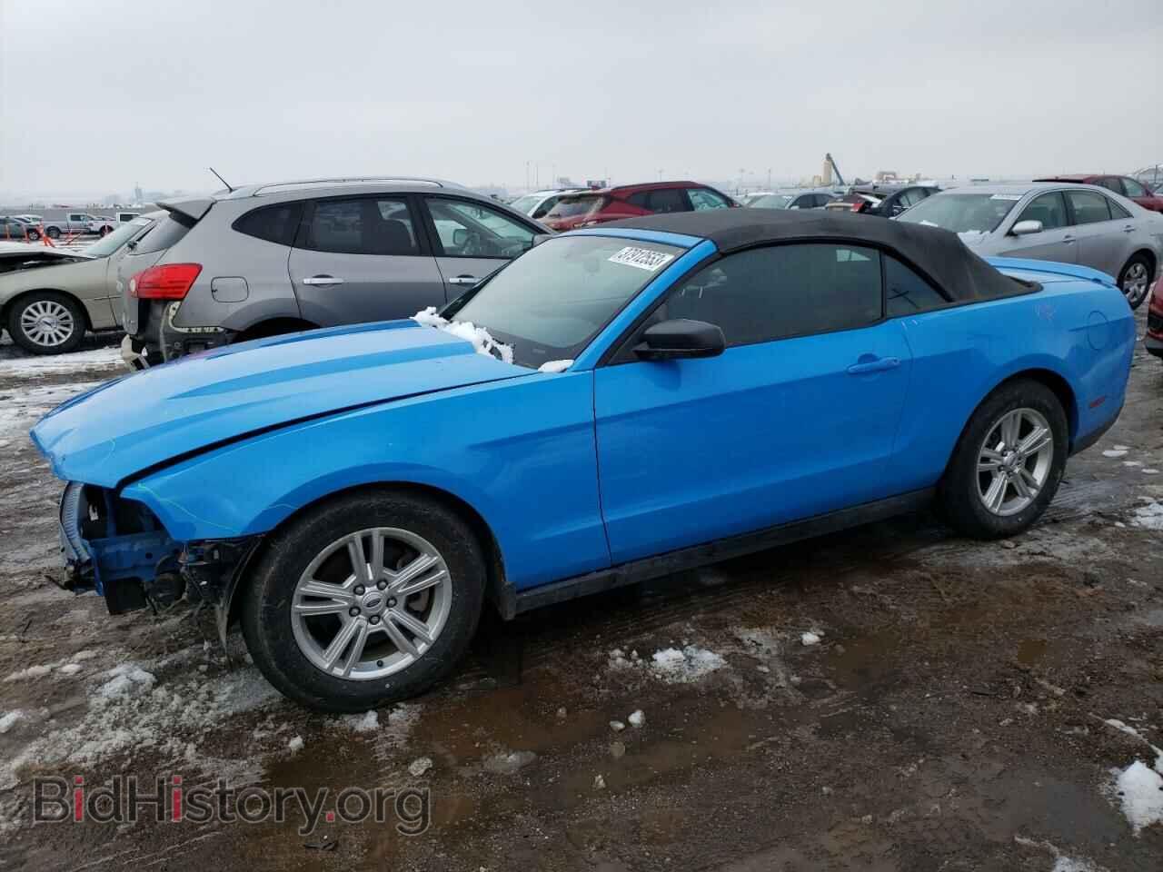 Фотография 1ZVBP8EM6C5203316 - FORD MUSTANG 2012