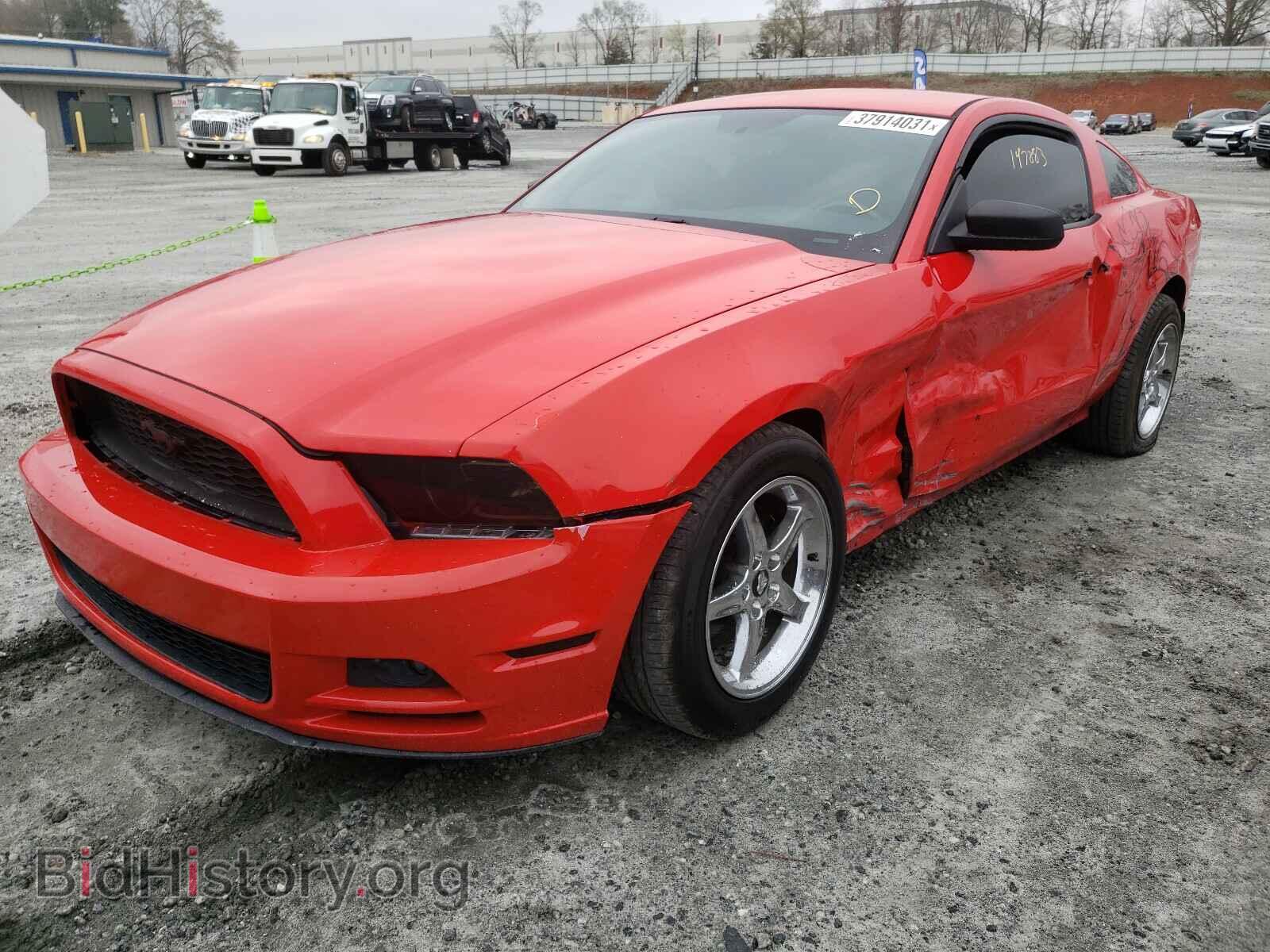 2013 FORD MUSTANG - VIN: 1ZVBP8AM0D5211600 - Фото 2