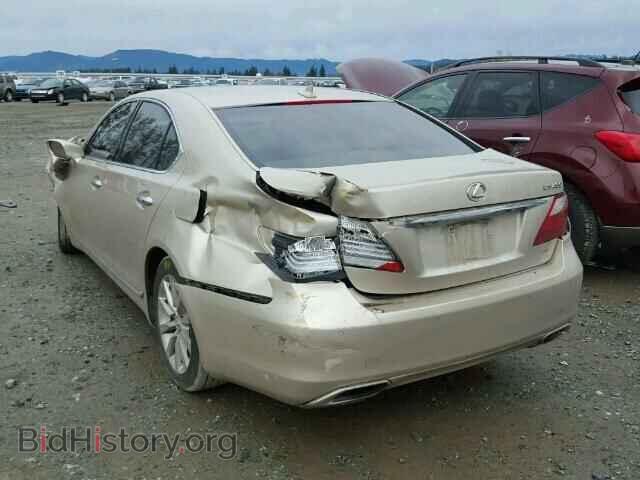 2011 LEXUS LS460 - VIN: JTHCL5EF0B5011230 - Фото 3