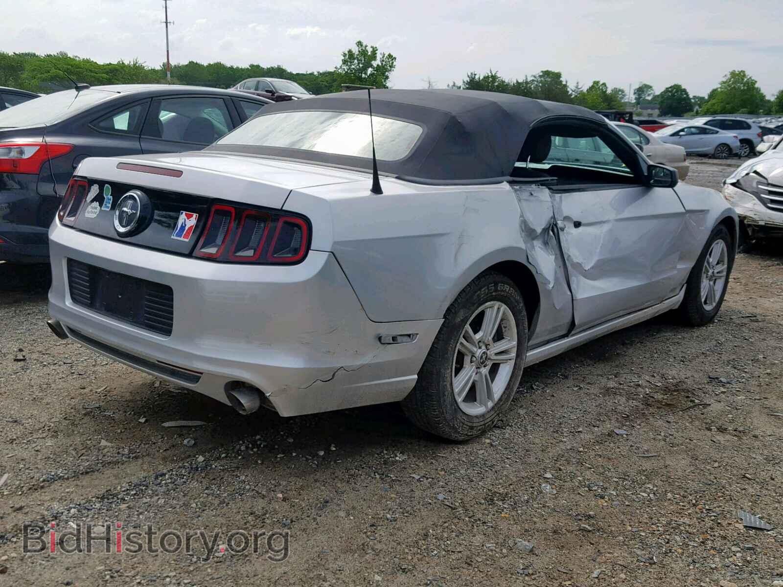 2013 FORD MUSTANG - VIN: 1ZVBP8EM2D5224701 - Фото 4