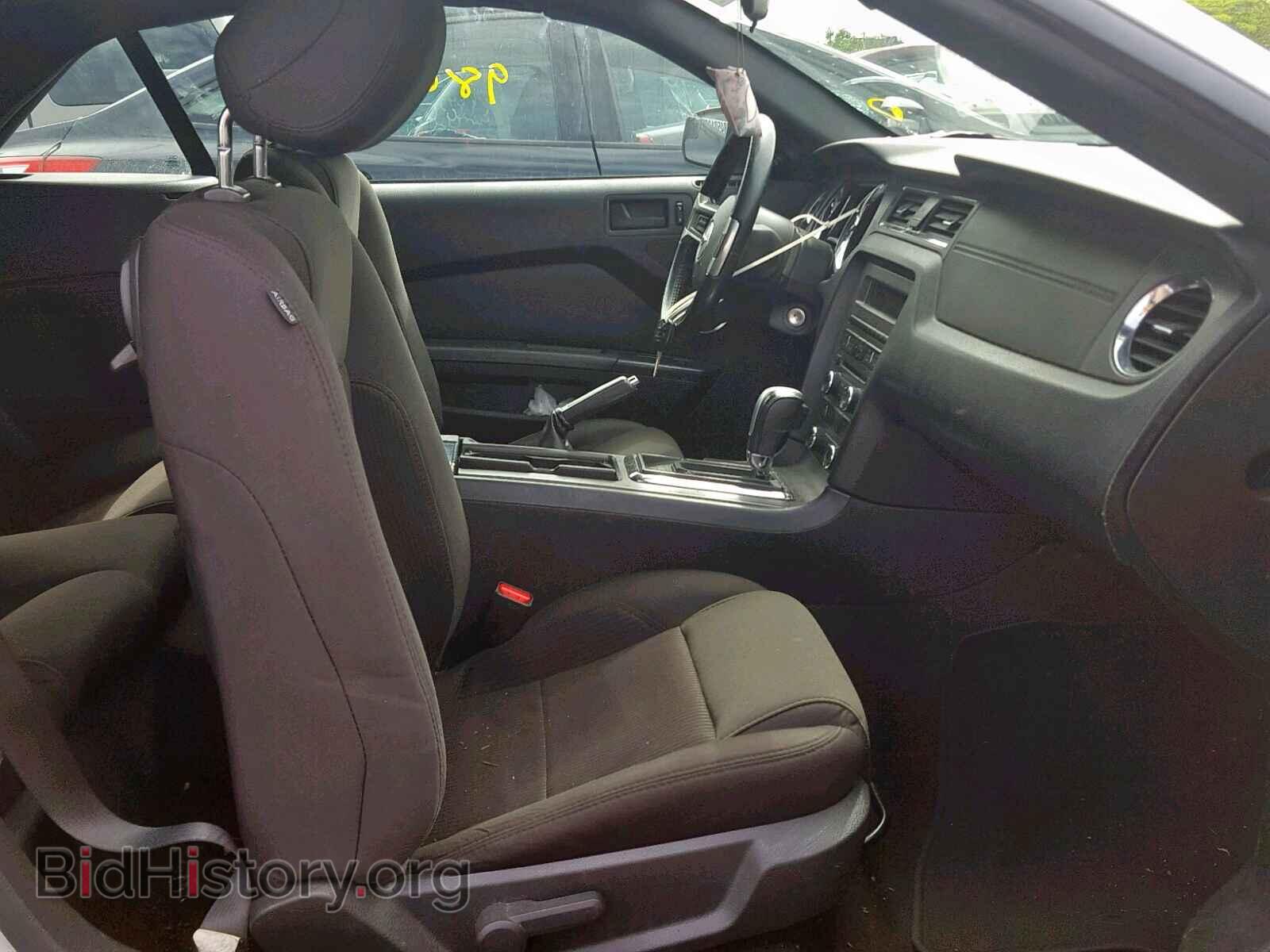 2013 FORD MUSTANG - VIN: 1ZVBP8EM2D5224701 - Фото 5