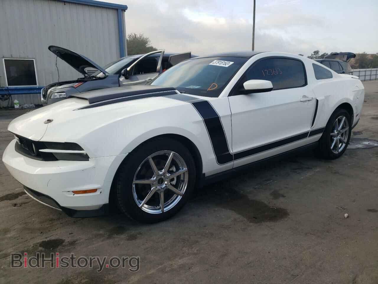Фотография 1ZVBP8CHXA5156052 - FORD MUSTANG 2010