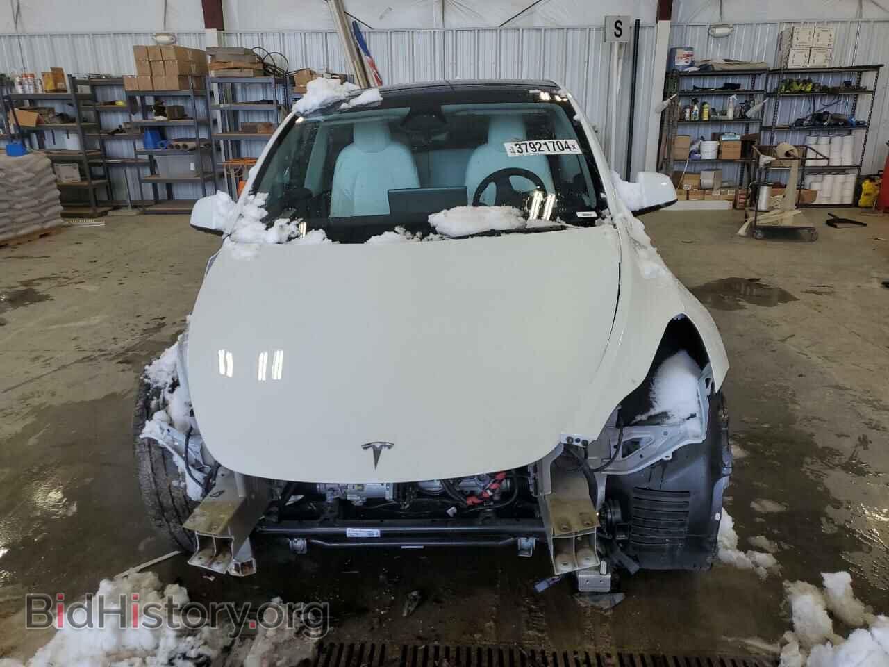 2023 TESLA MODEL Y - VIN: 7SAYGDEE6PF873695 - Фото 5