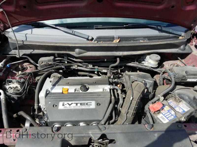 2007 Honda ELEMENT (VIN 5J6YH28747L016147) — photo 7 of 10