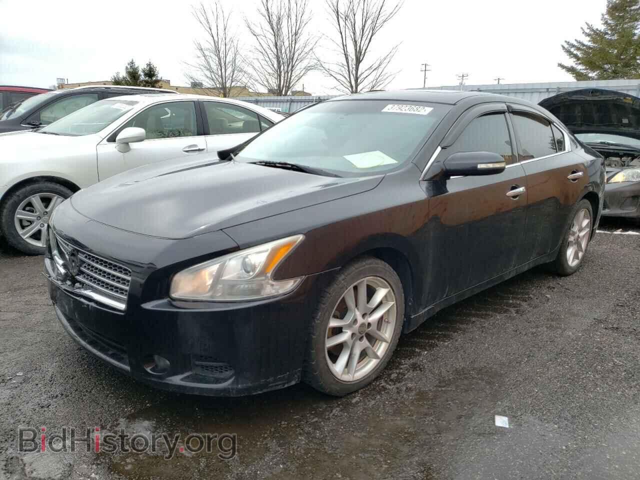 2011 NISSAN MAXIMA - VIN: 1N4AA5AP2BC819111 - Фото 2