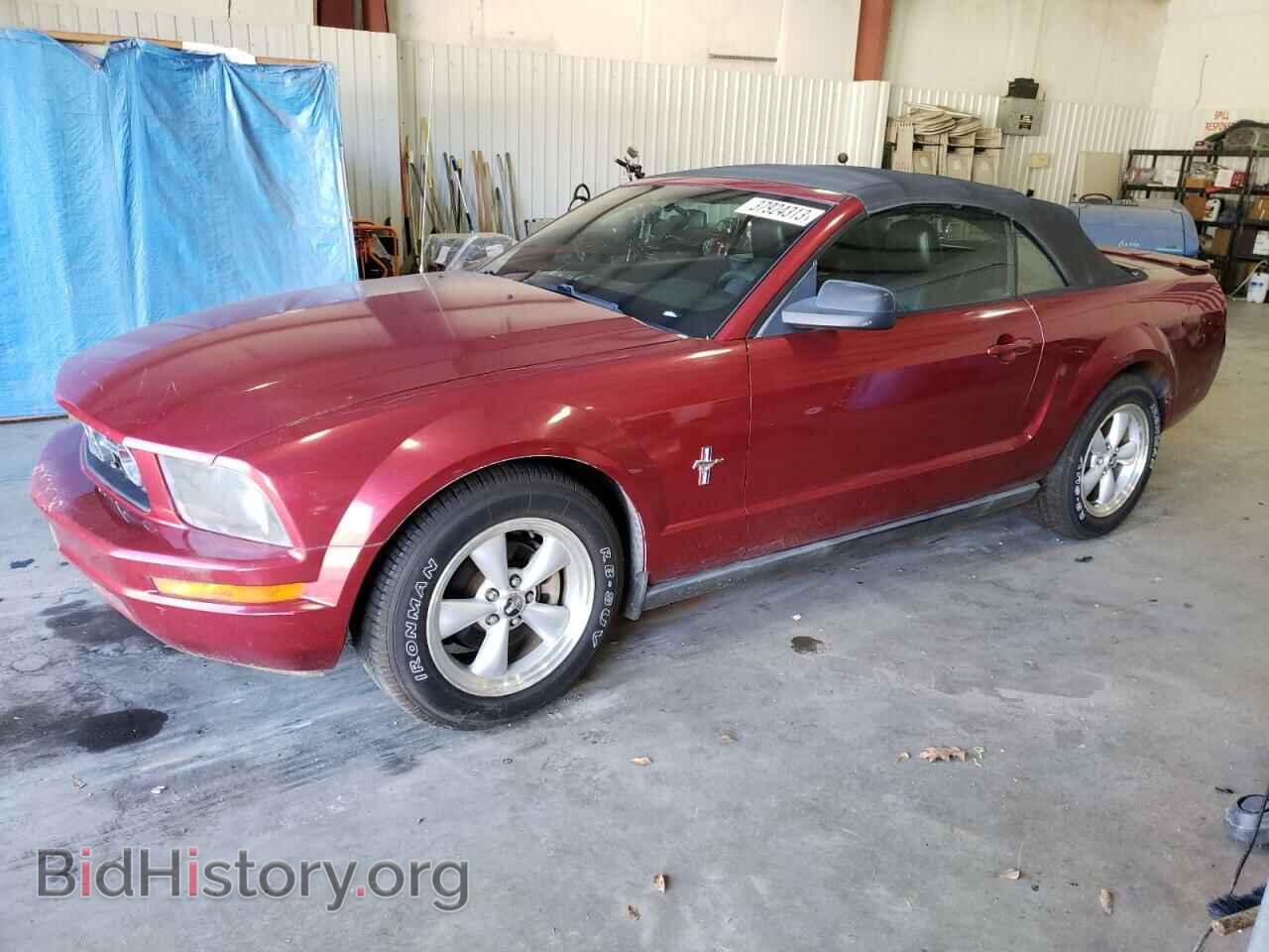 Photo 1ZVFT84N575313481 - FORD MUSTANG 2007