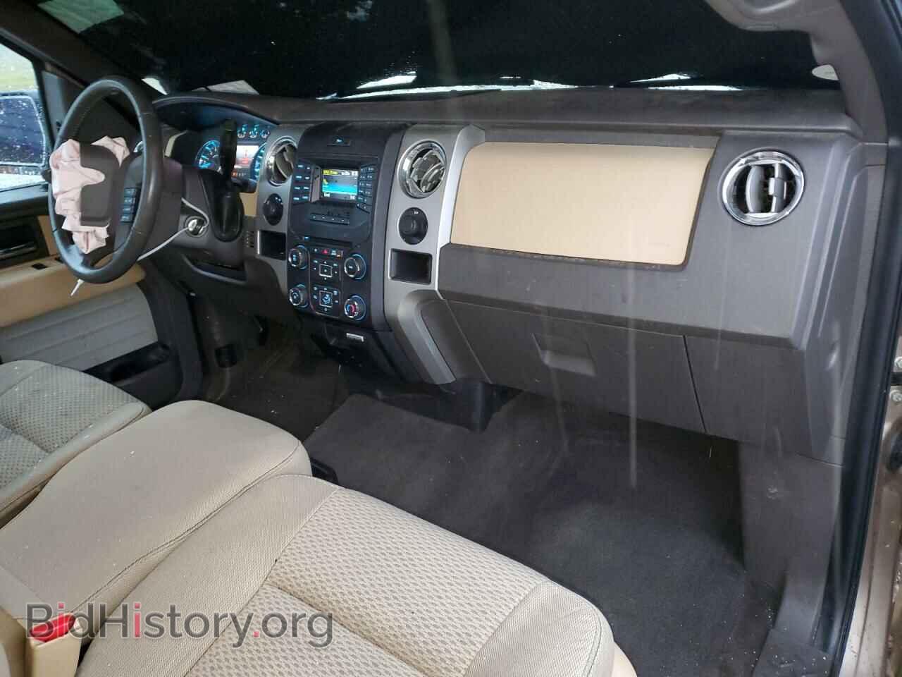 2013 FORD F150 - VIN: 1FTMF1EM7DKF83842 - Фото 8