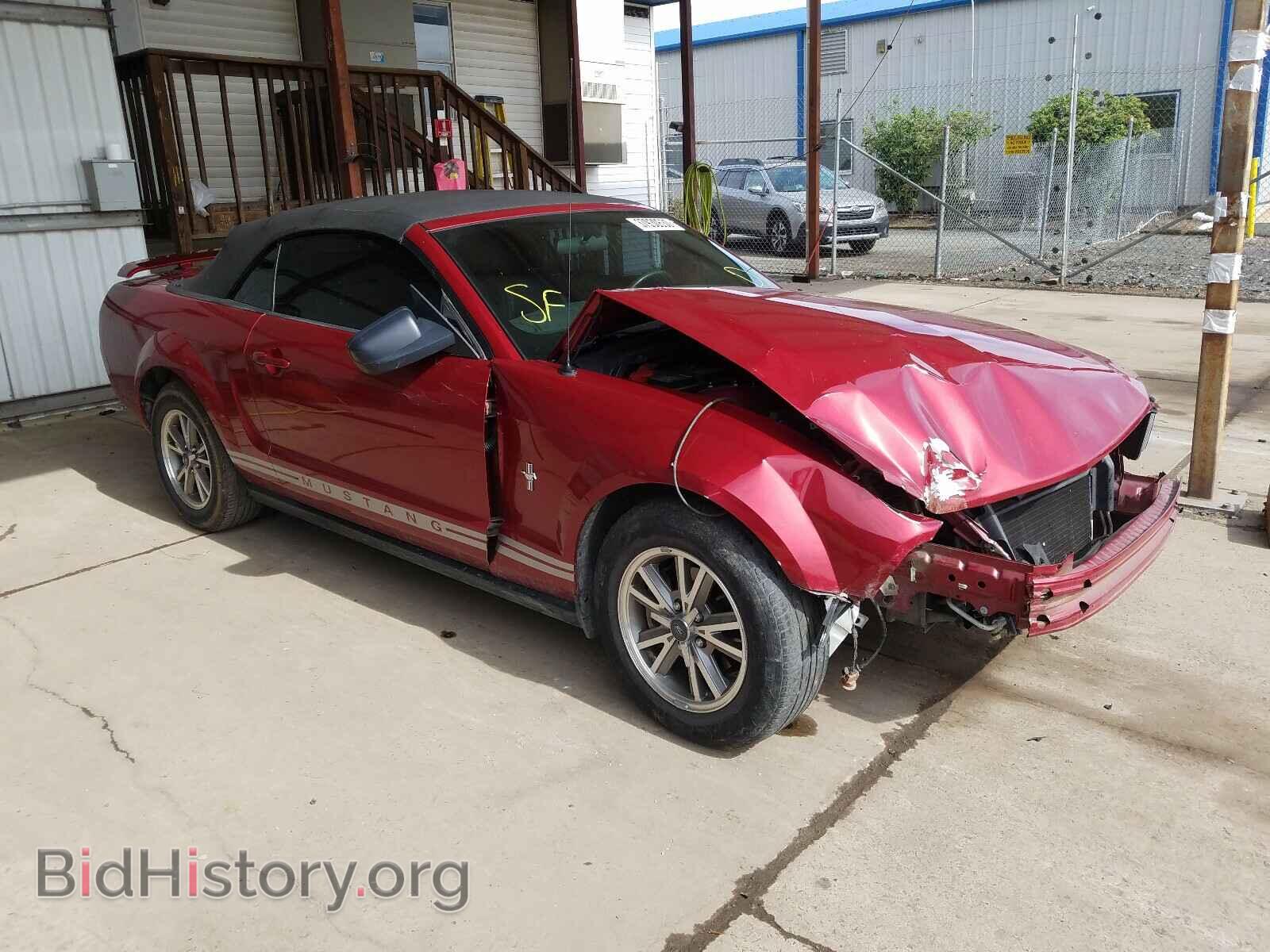 Photo 1ZVFT84N555221171 - FORD MUSTANG 2005