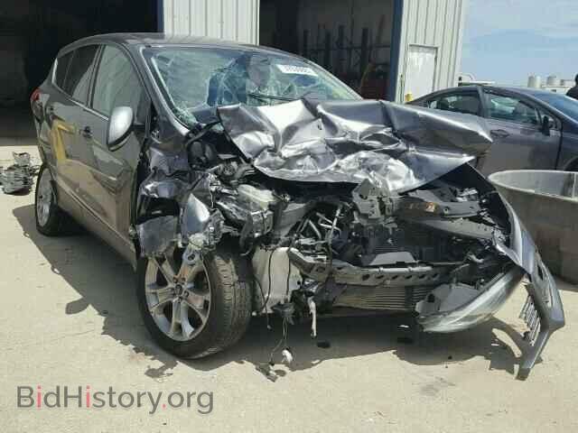 Фотография 1FMCU0HX9DUA81092 - FORD ESCAPE 2013