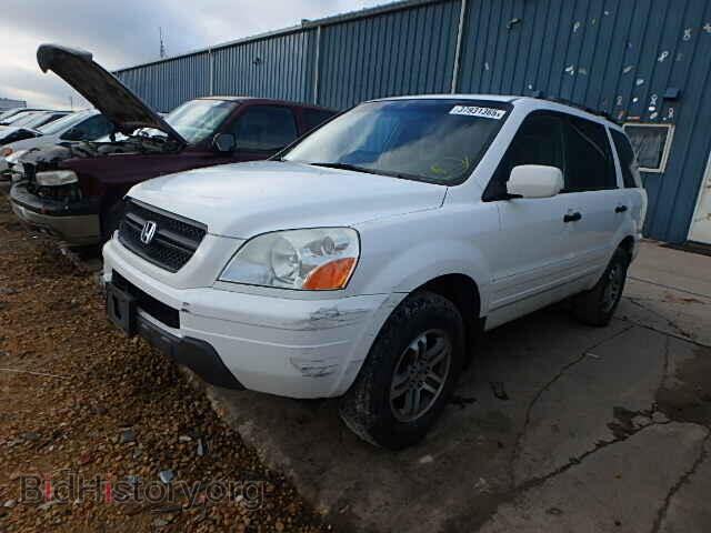 2005 HONDA PILOT - VIN: 5FNYF18565B057982 - Фото 2