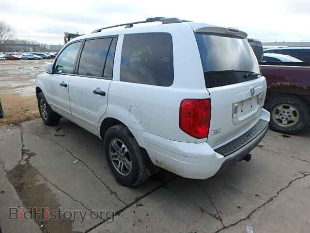 2005 HONDA PILOT - VIN: 5FNYF18565B057982 - Фото 3