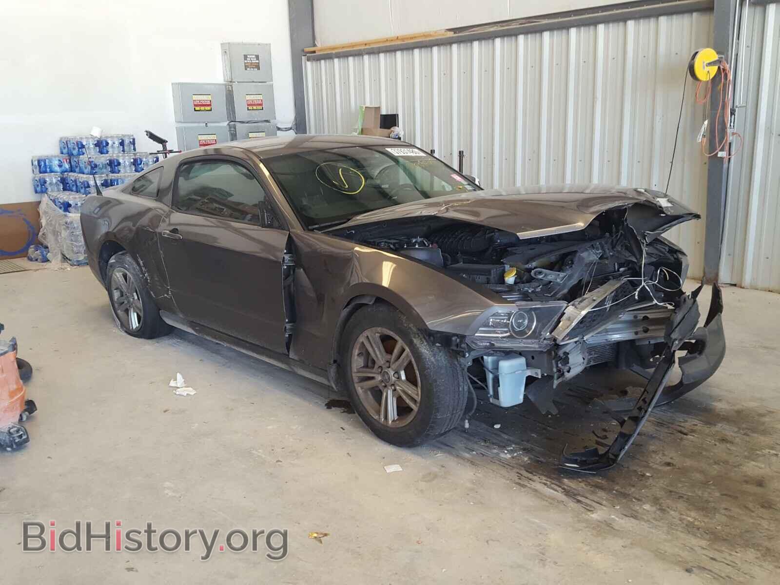 Photo 1ZVBP8AM9E5259405 - FORD MUSTANG 2014