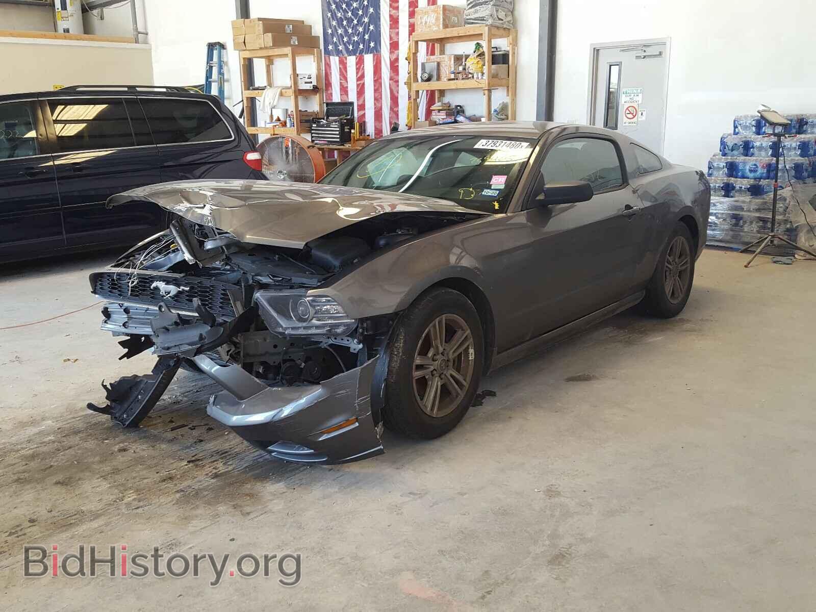 2014 FORD MUSTANG - VIN: 1ZVBP8AM9E5259405 - Фото 2