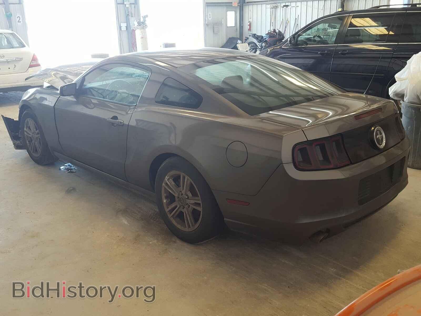 2014 FORD MUSTANG - VIN: 1ZVBP8AM9E5259405 - Фото 3