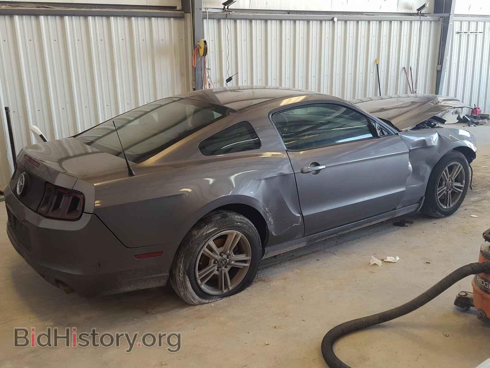 2014 FORD MUSTANG - VIN: 1ZVBP8AM9E5259405 - Фото 4
