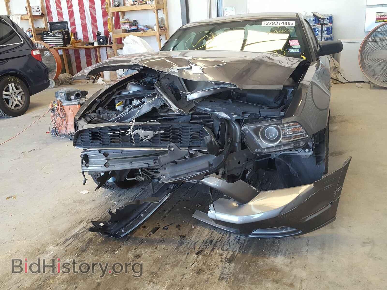 2014 FORD MUSTANG - VIN: 1ZVBP8AM9E5259405 - Фото 9