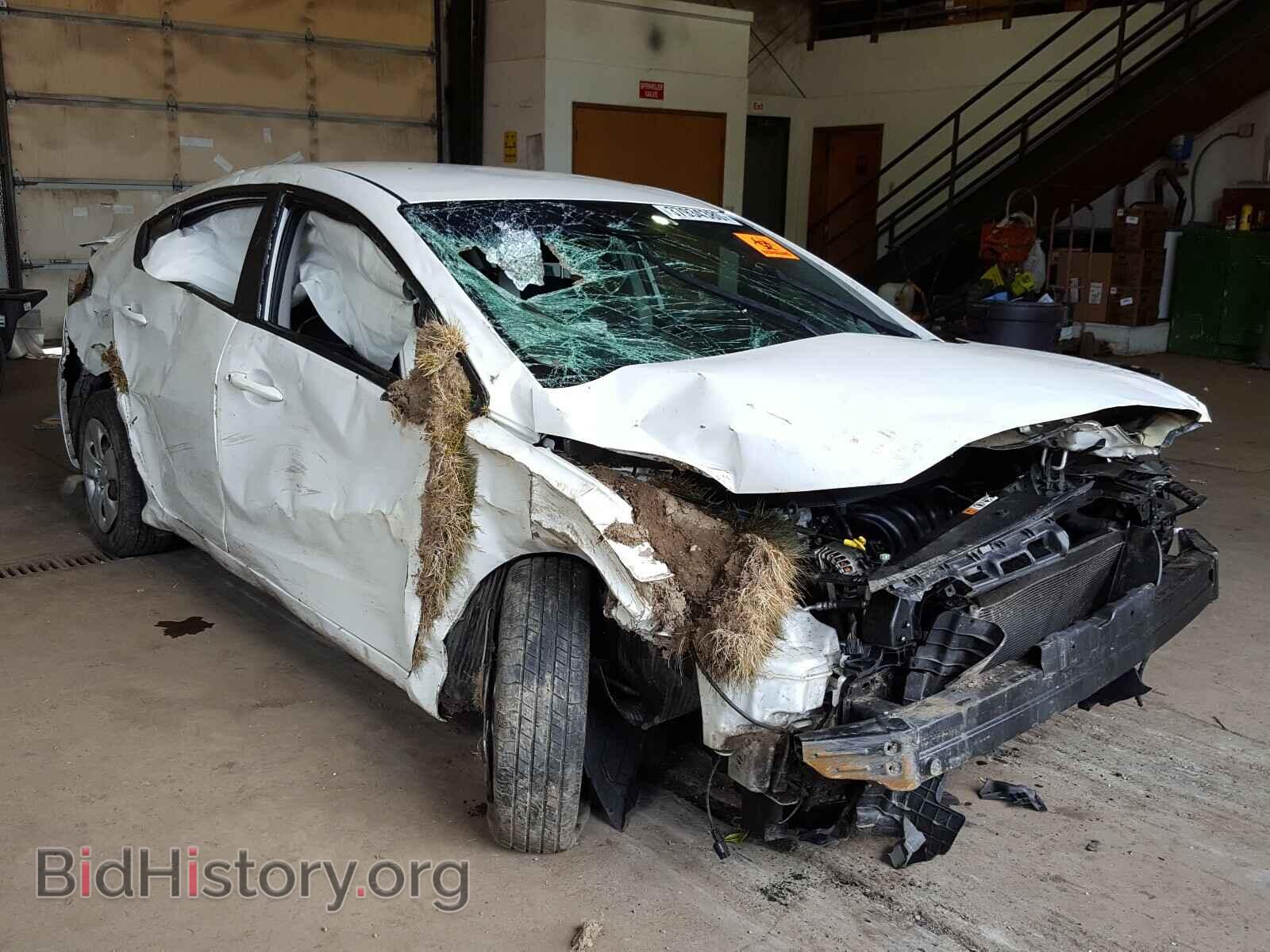 Фотография KNAFK4A6XE5066934 - KIA FORTE 2014