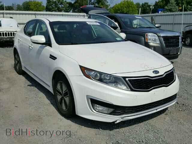 Фотография KNAGM4AD2B5003576 - KIA OPTIMA 2011