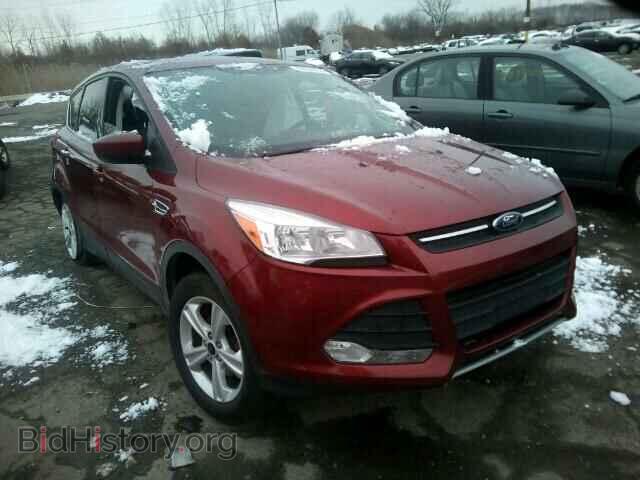 Фотография 1FMCU0GX9EUB00033 - FORD ESCAPE 2014