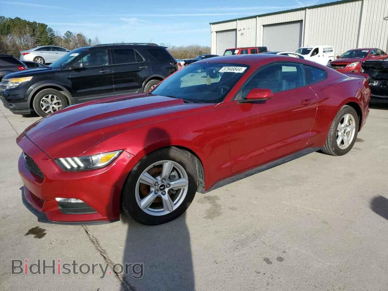 Фотография 1FA6P8AM4H5328502 - FORD ALL Models 2017