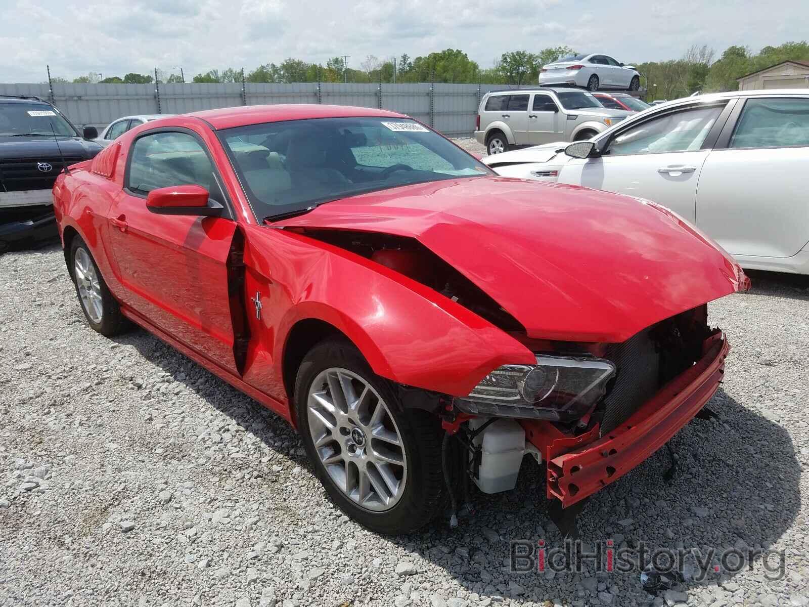 Photo 1ZVBP8AM2E5286848 - FORD MUSTANG 2014