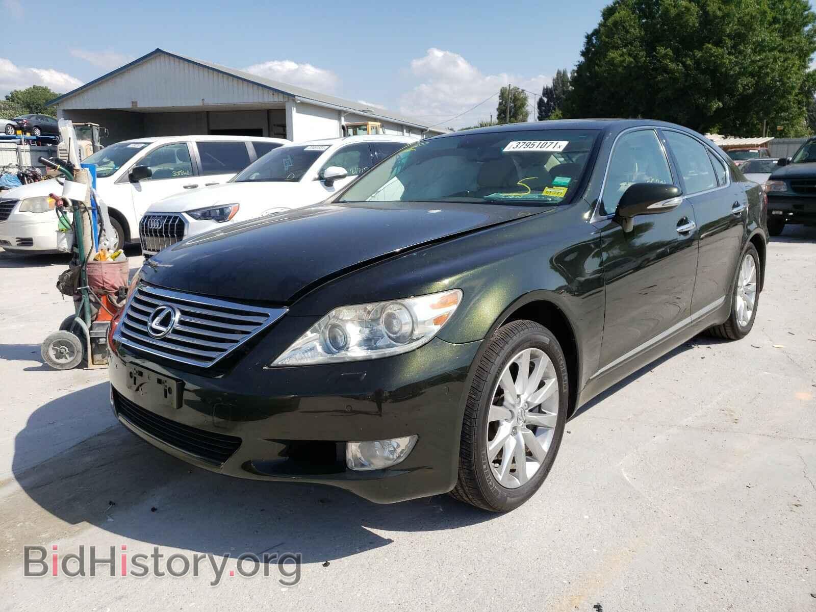 2010 LEXUS LS460 - VIN: JTHCL5EF2A5005654 - Фото 2