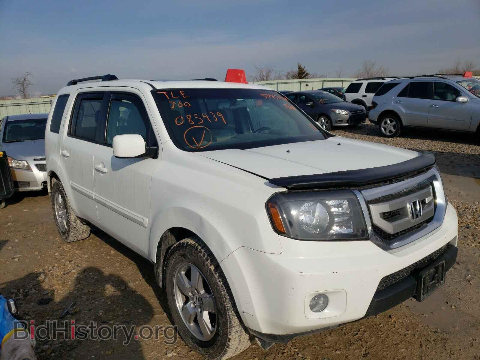 Фотография 5FNYF4H58BB085439 - HONDA PILOT 2011