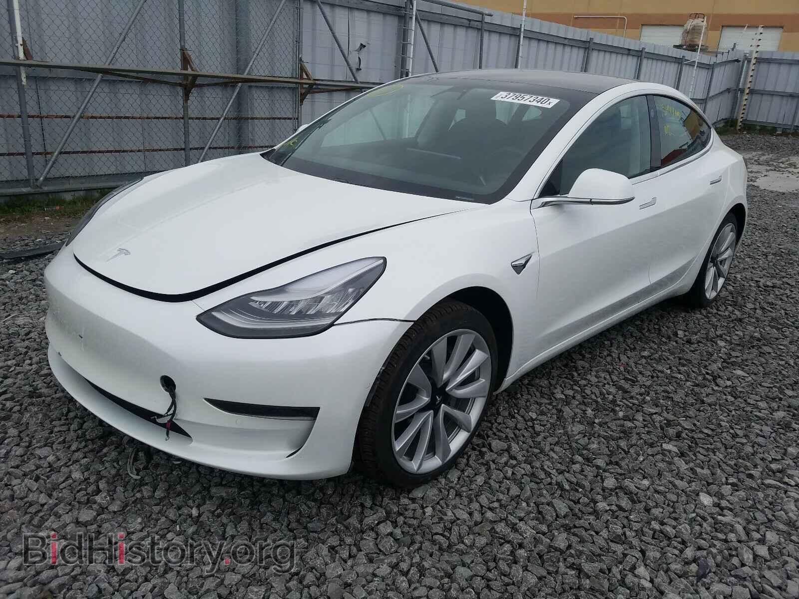 2019 TESLA MODEL 3 - VIN: 5YJ3E1EA3KF474146 - Фото 2