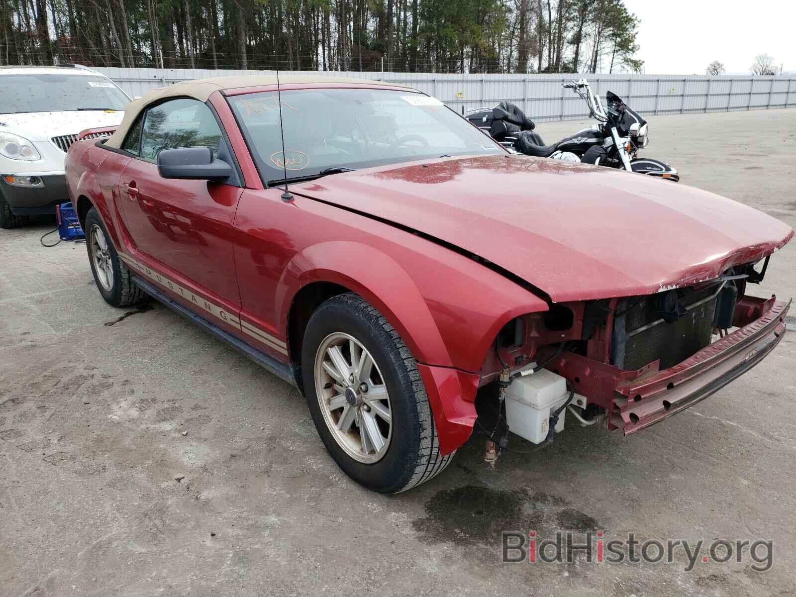 Photo 1ZVFT84N565168134 - FORD MUSTANG 2006