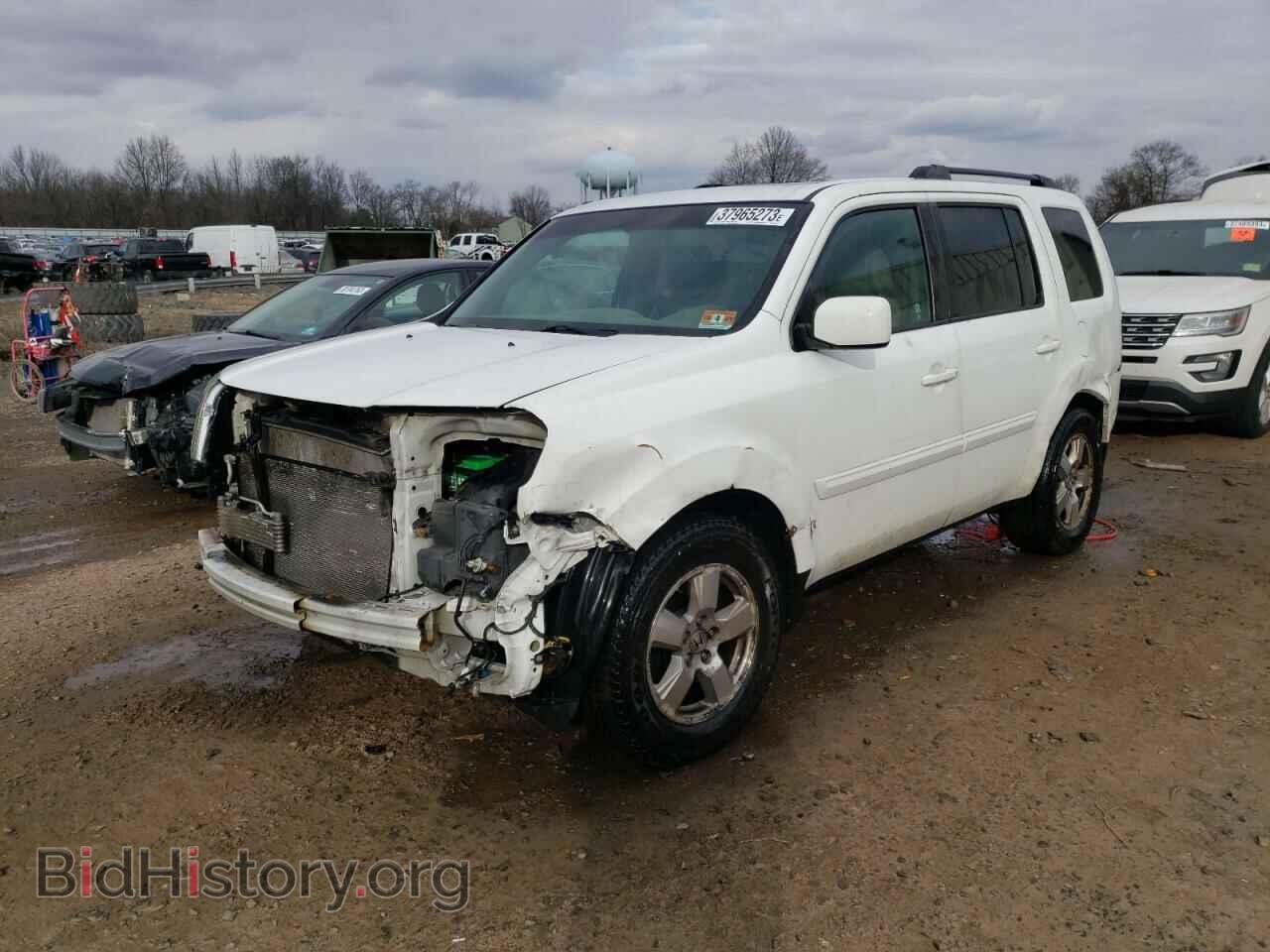 Photo 5FNYF4H53BB067124 - HONDA PILOT 2011