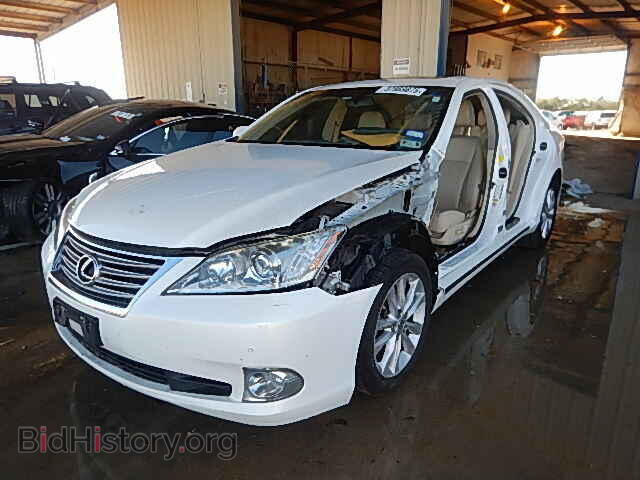 2010 LEXUS ES350 - VIN: JTHBK1EG8A2391580 - Фото 2