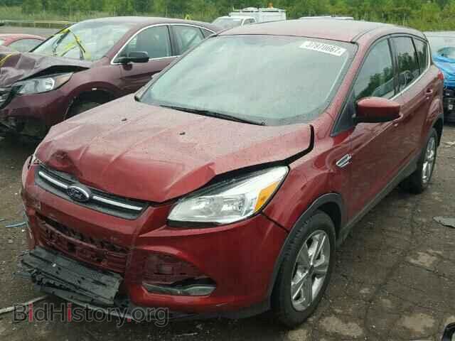 2014 FORD ESCAPE - VIN: 1FMCU0GX5EUC06267 - Фото 2