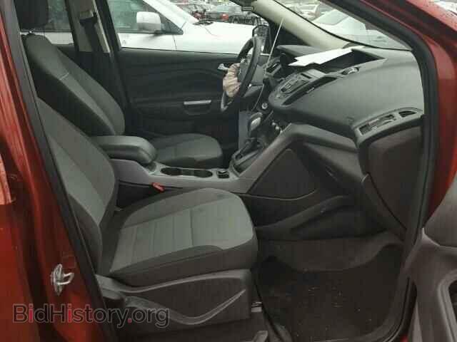 2014 FORD ESCAPE - VIN: 1FMCU0GX5EUC06267 - Фото 5