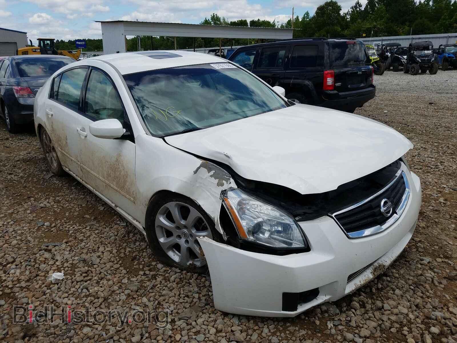 Фотография 1N4BA41E68C830876 - NISSAN MAXIMA 2008