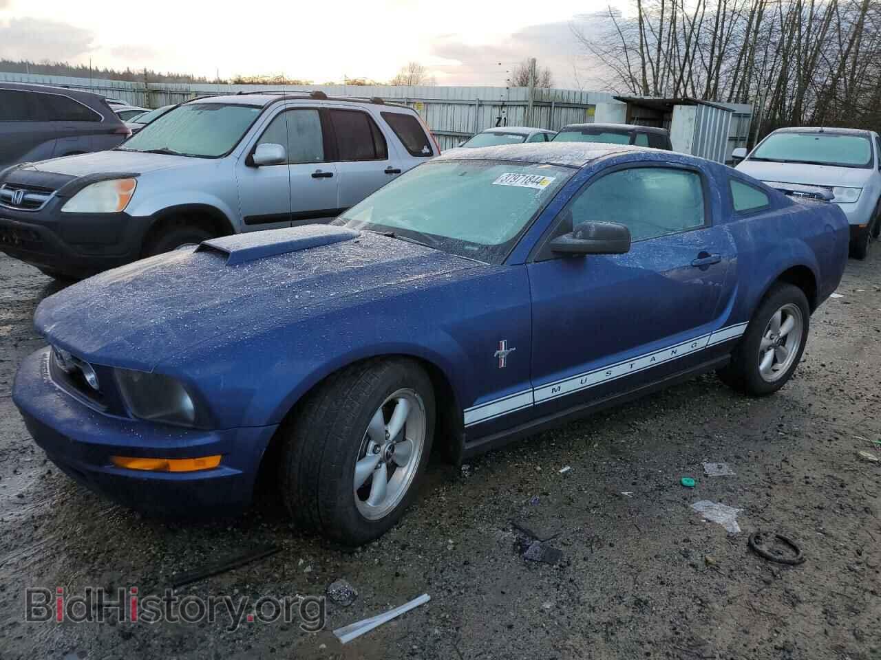 Photo 1ZVFT80N075273655 - FORD ALL Models 2007