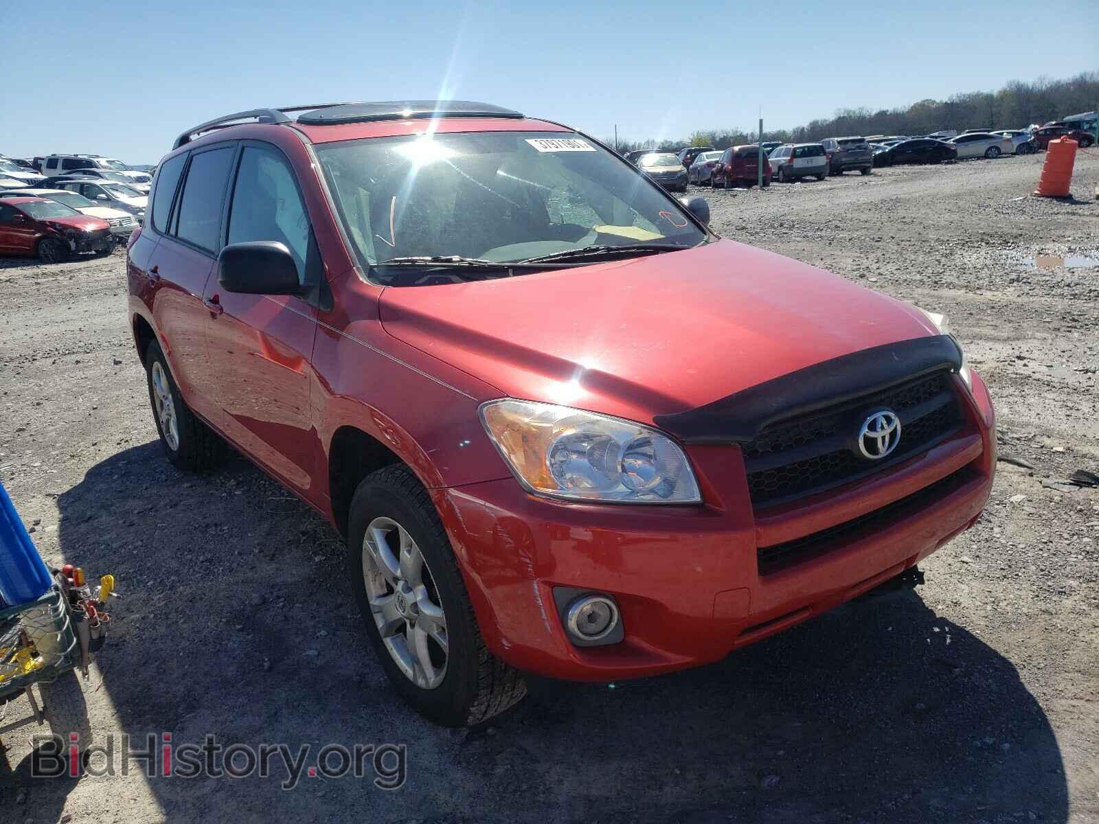 Photo 2T3BF4DV4BW088263 - TOYOTA RAV4 2011