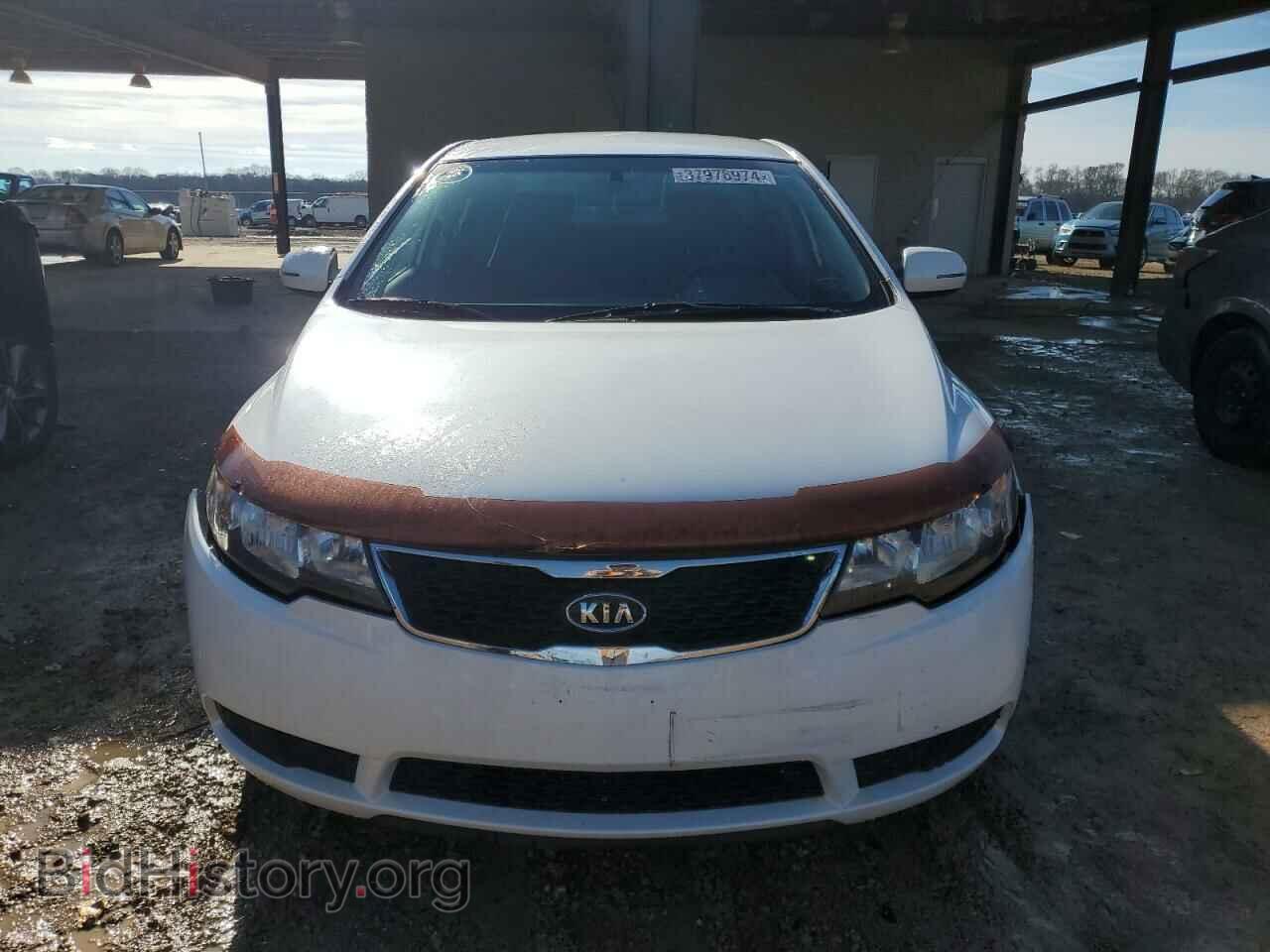 2013 KIA FORTE - VIN: KNAFU4A29D5729268 - Фото 5