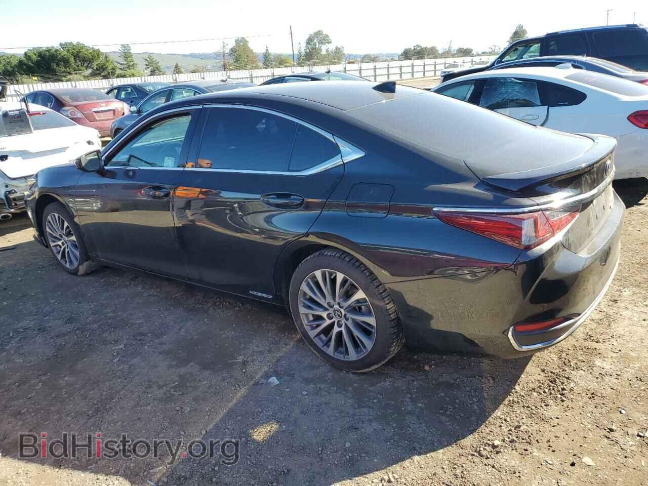 2021 LEXUS ES300 - VIN: 58ADA1C18MU010335 - Фото 2