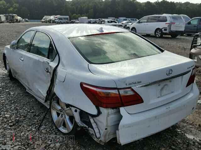 2010 LEXUS LS460 - VIN: JTHGL5EF6A5041476 - Фото 3