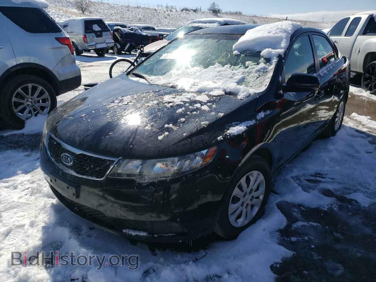 2012 KIA FORTE - VIN: KNAFU4A25C5549560 - Фото 2