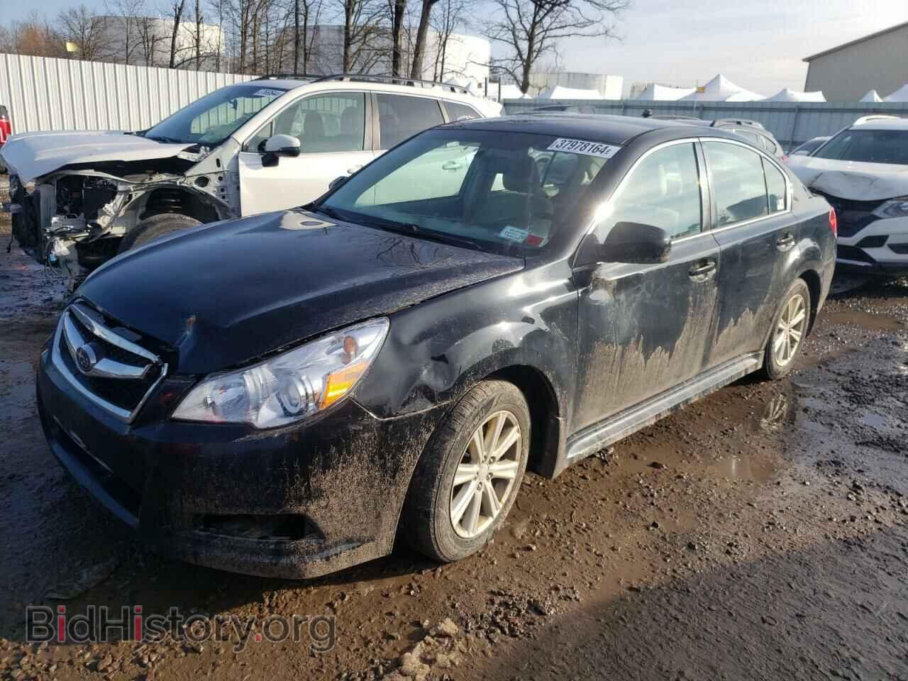 Photo 4S3BMBC67B3231214 - SUBARU LEGACY 2011