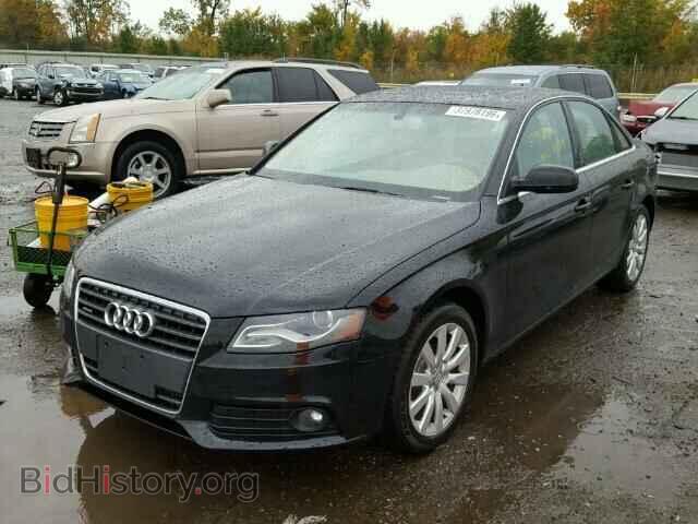 2011 AUDI A4 - VIN: WAUFFAFL5BA074332 - Фото 2