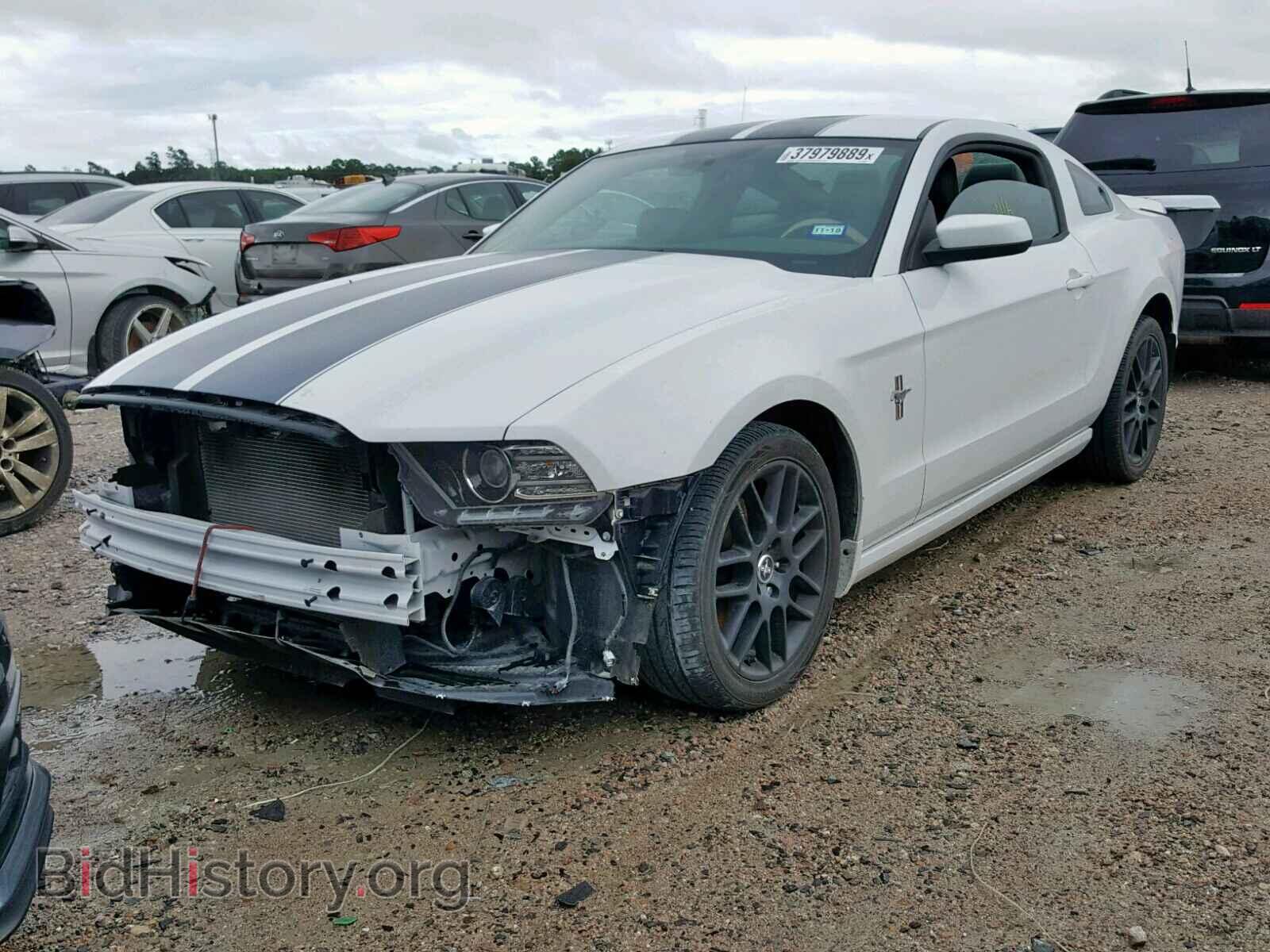 2014 FORD MUSTANG - VIN: 1ZVBP8AMXE5264063 - Фото 2