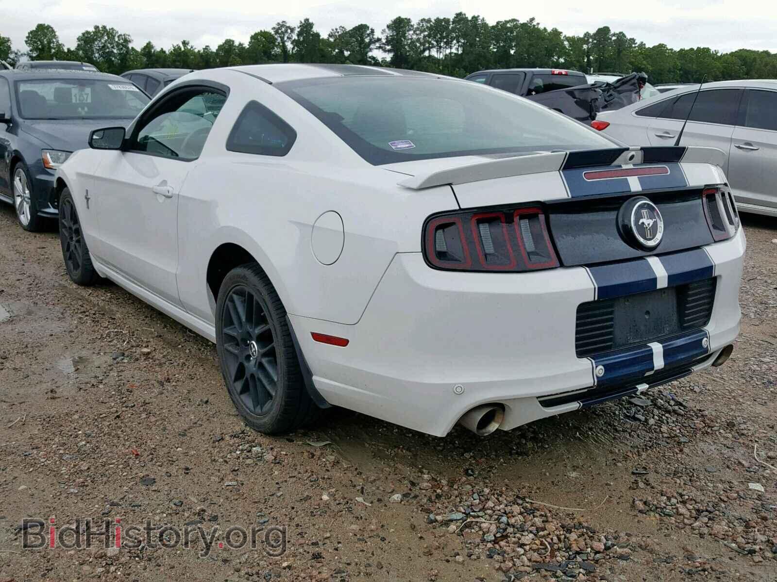 2014 FORD MUSTANG - VIN: 1ZVBP8AMXE5264063 - Фото 3