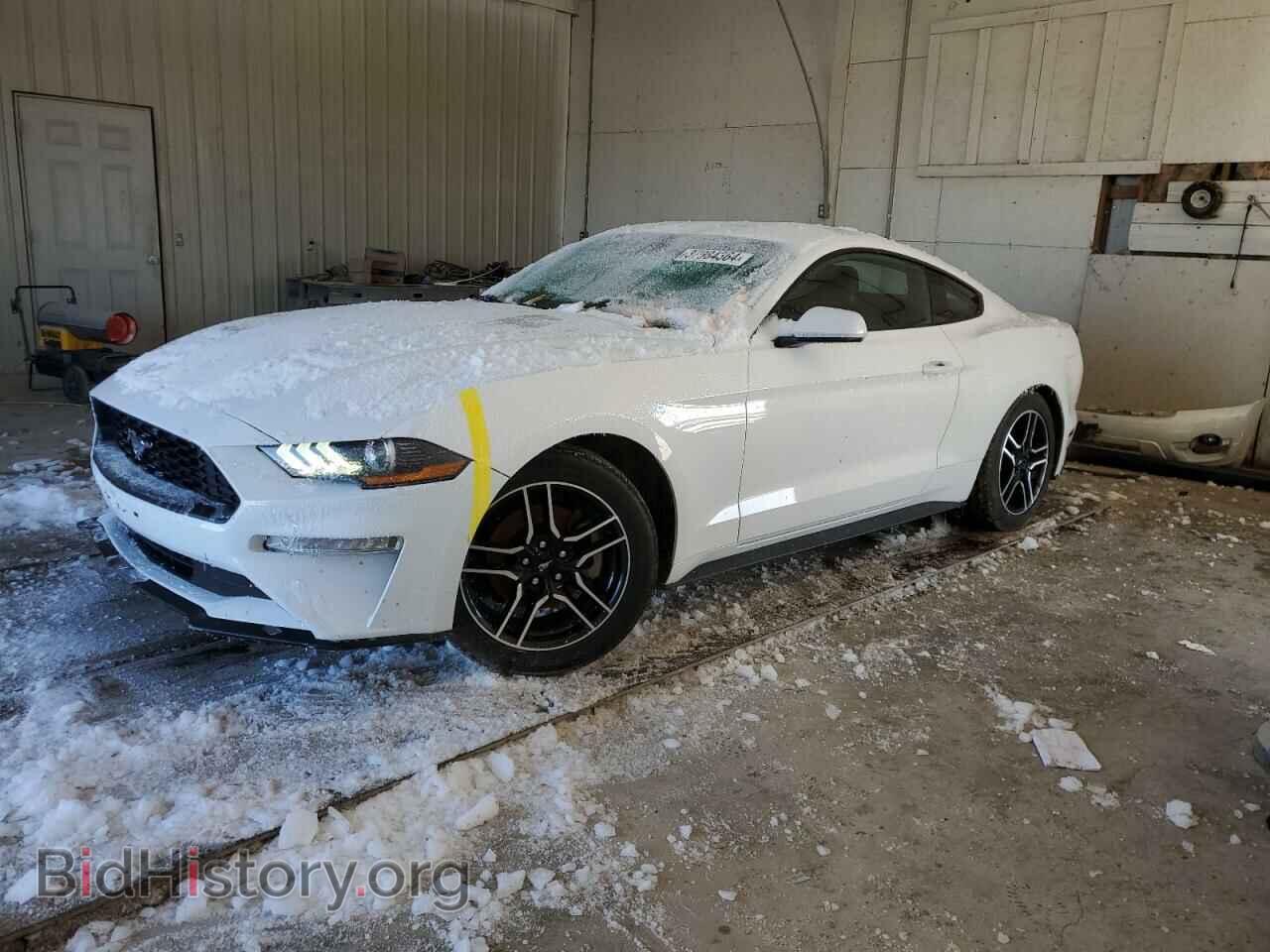 Фотография 1FA6P8TH7M5105462 - FORD ALL Models 2021