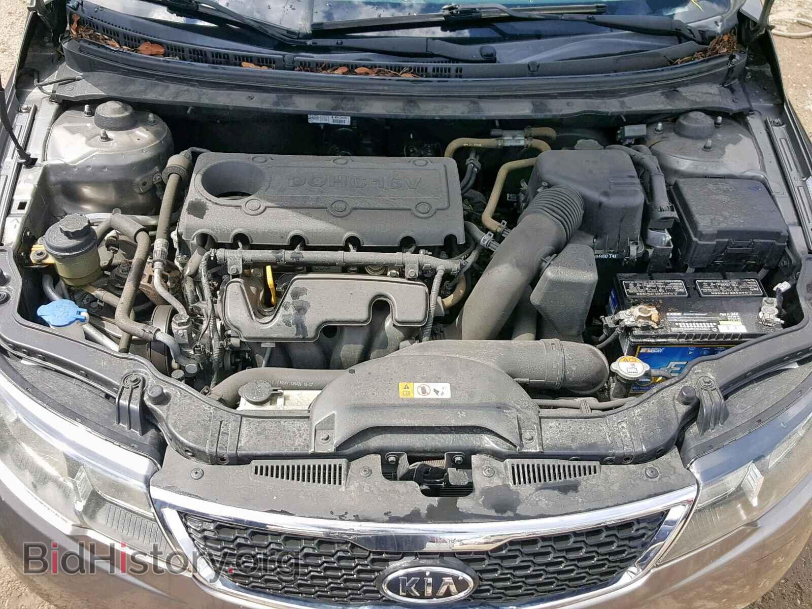 2013 KIA FORTE EX - VIN: KNAFU4A25D5653273 - Фото 7