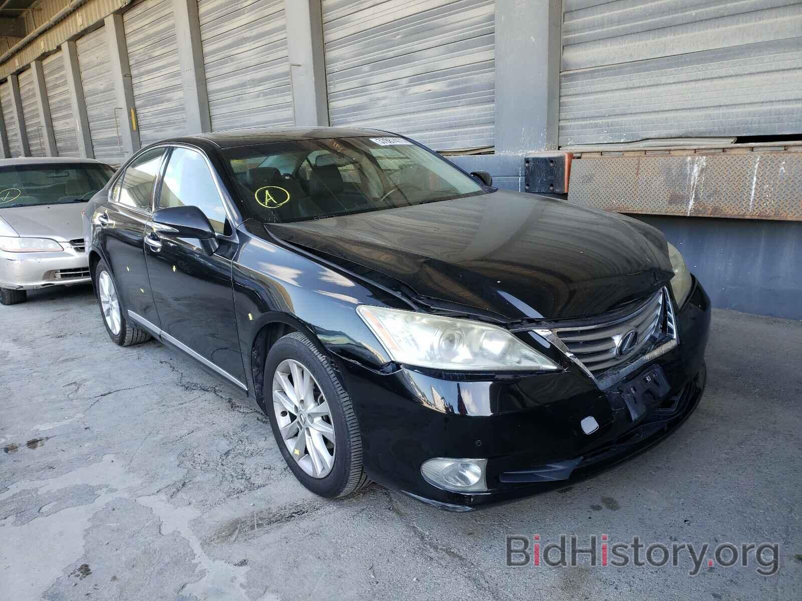 Фотография JTHBK1EG7A2380750 - LEXUS ES350 2010