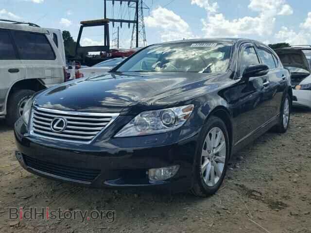 2012 LEXUS LS460 - VIN: JTHDL5EF6C5004224 - Фото 2
