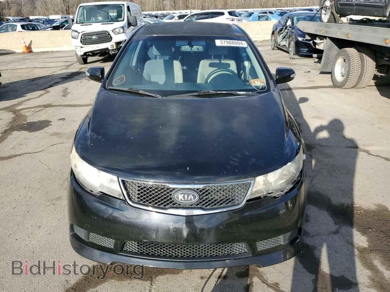2010 KIA FORTE - VIN: KNAFU4A24A5253684 - Фото 5